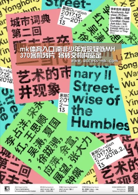 mk体育入口|南非少年发现疑似MH370客机残片 将转交机构鉴定(图2) mk体育下载