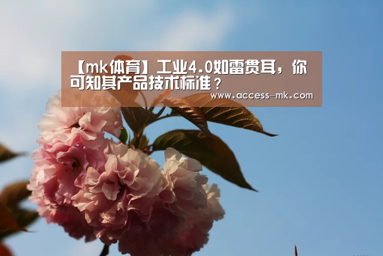【mk体育】工业4.0如雷贯耳,你可知其产品技术标准?(图2) mk体育入口