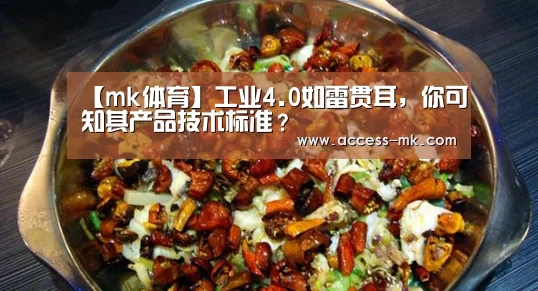 【mk体育】工业4.0如雷贯耳,你可知其产品技术标准?(图3) mk体育官方