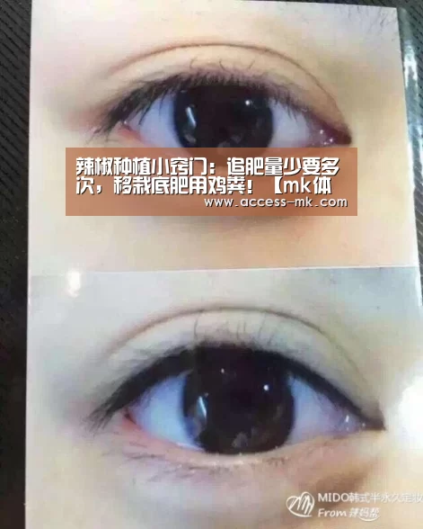 mk体育下载