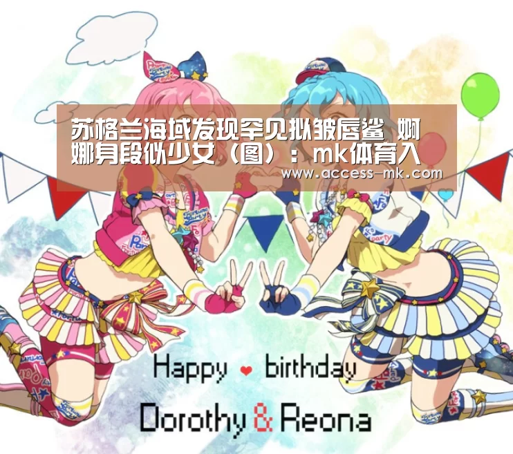 mk体育
