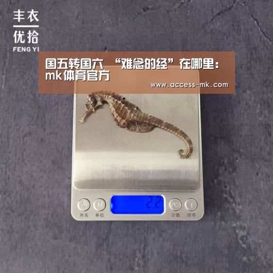 国五转国六 “难念的经”在哪里:mk体育官方(图3) mk体育