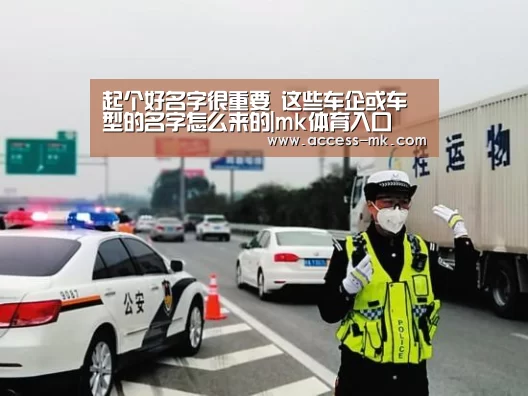 mk体育入口