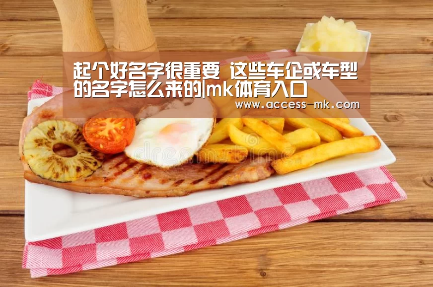 mk体育入口