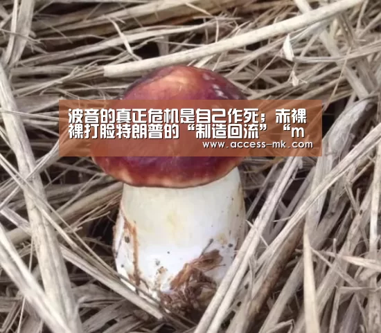 mk体育下载
