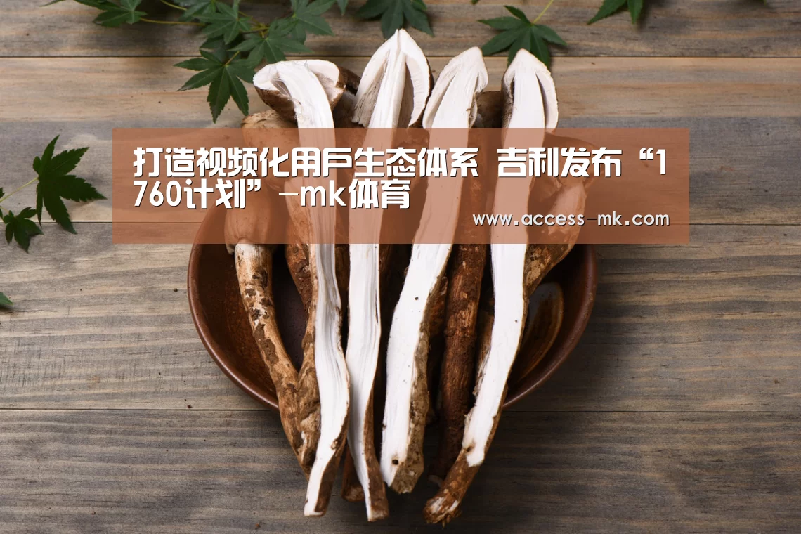 mk体育官方