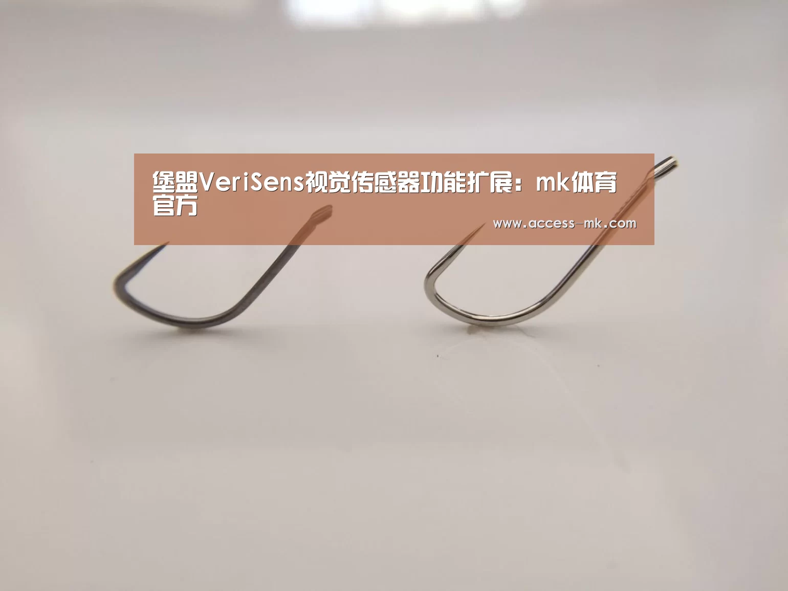 mk体育入口