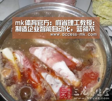 mk体育入口