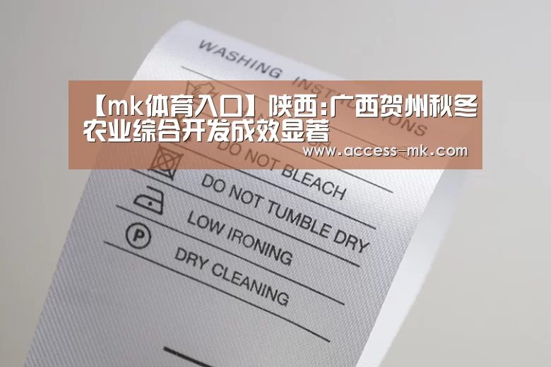 mk体育入口