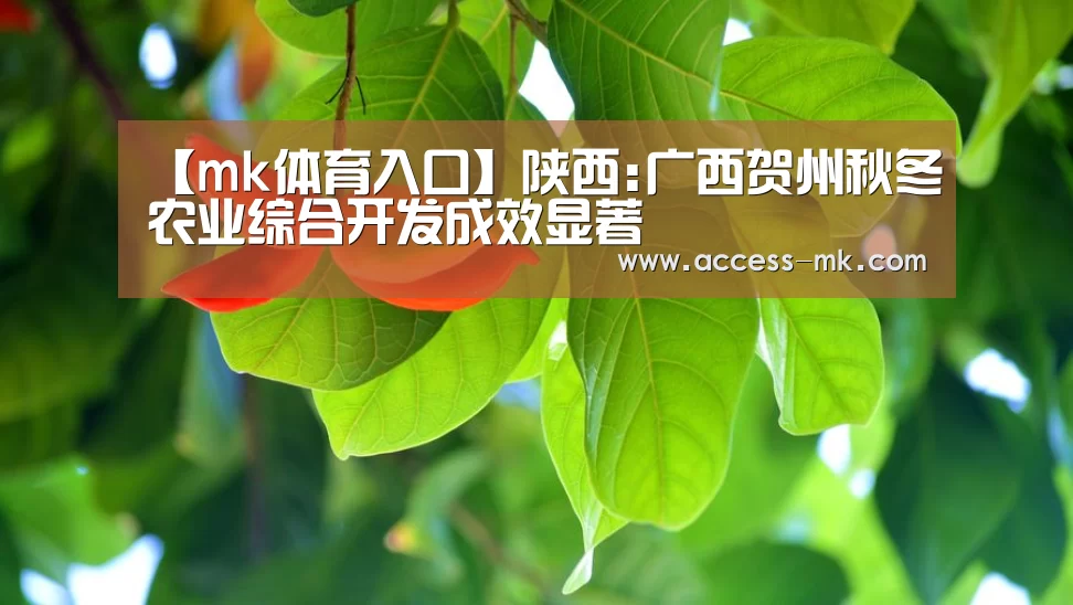 mk体育下载