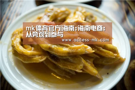 mk体育官方|海南:海南电商:从旁观到参与(图2) mk体育