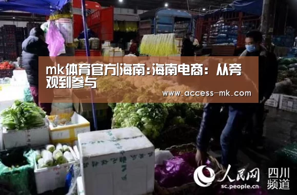 mk体育官方|海南:海南电商:从旁观到参与(图1) mk体育