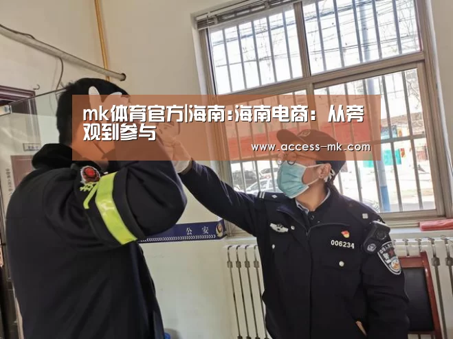 mk体育官方|海南:海南电商:从旁观到参与(图3) mk体育