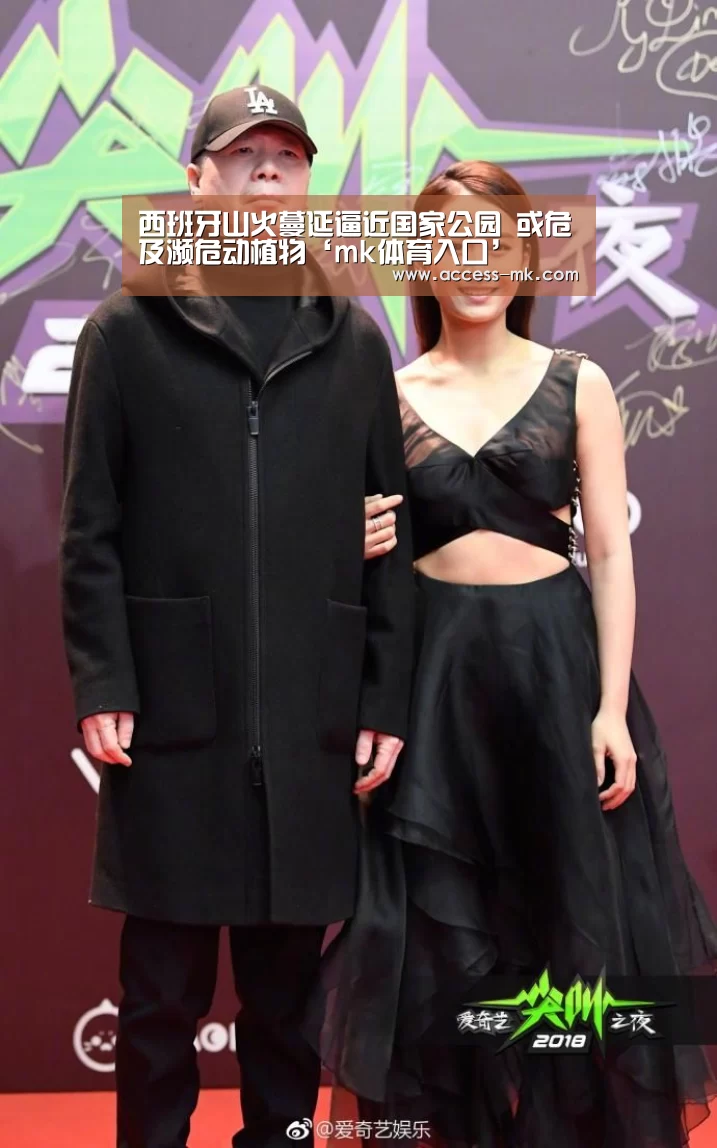 mk体育下载