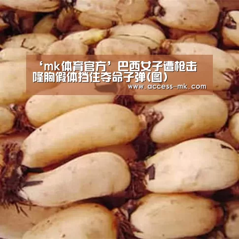 mk体育下载