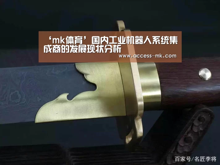 ‘mk体育’国内工业机器人系统集成商的发展现状分析(图1) mk体育下载